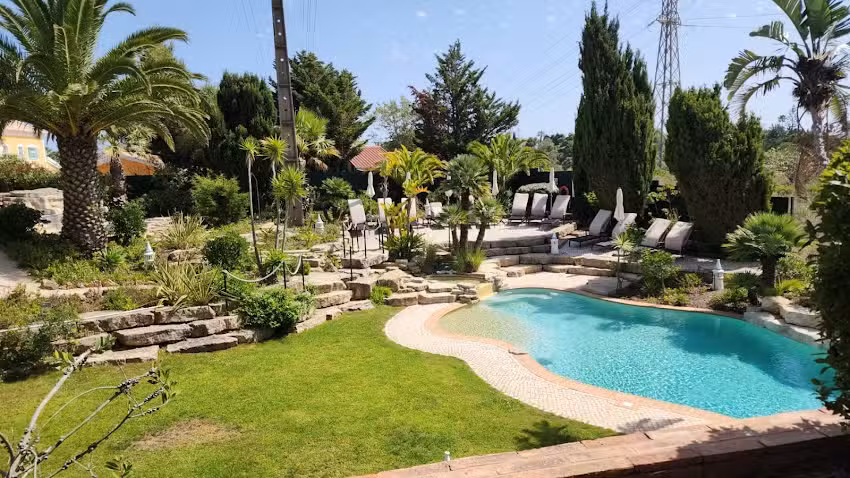 Cruise Planners & Someday is Now Travel