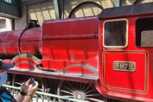 Cruise Planners – Splendor Vacations