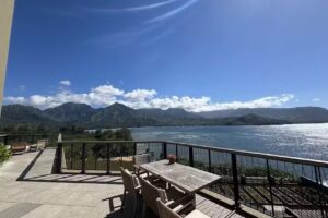 Cruise Planners – Steph Dale