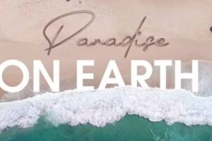 Cruise Planners The Travel People