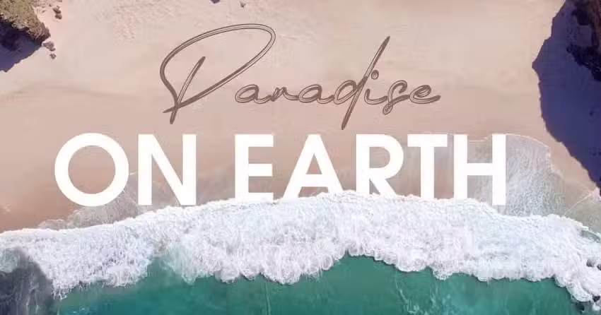 Cruise Planners The Travel People