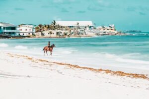 Cruise Planners Travel Agency – Amy Copus