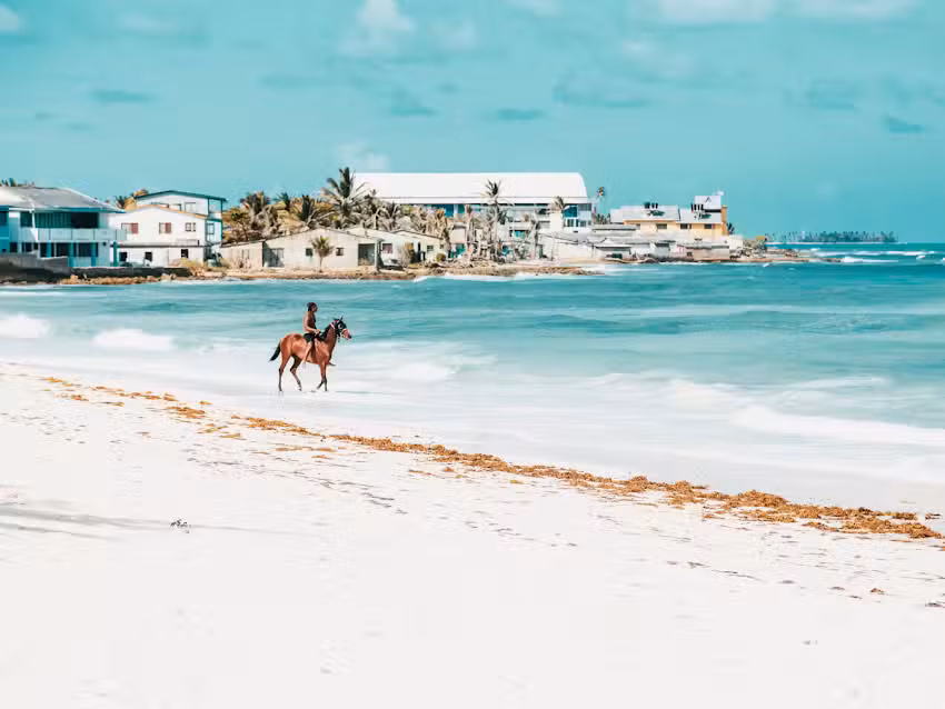 Cruise Planners Travel Agency &ndash; Amy Copus