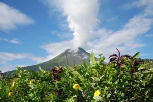 Cruise & Travel Partners