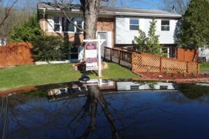 Cruise Travel Services