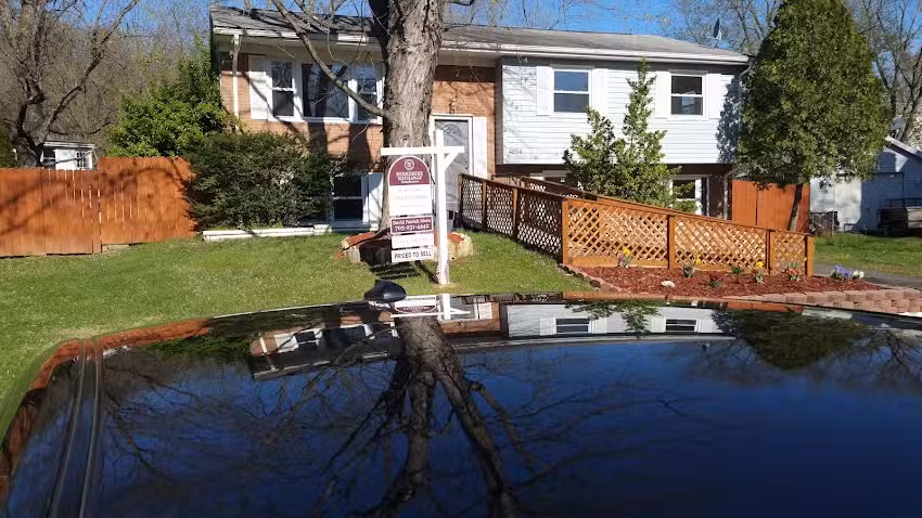 Cruise Travel Services