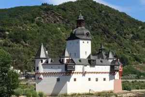 CruiseOne – Doreen Palazzolo