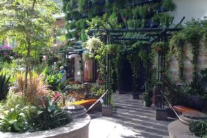 CruiseOne – Fairfield #CruisingConnie