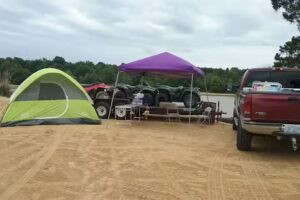 CruiseOne – Rob Lovern