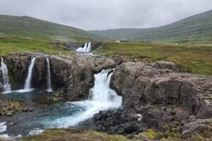 CruiseOne Suzanne Klasen