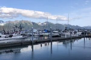 Cruises & Tours Worldwide