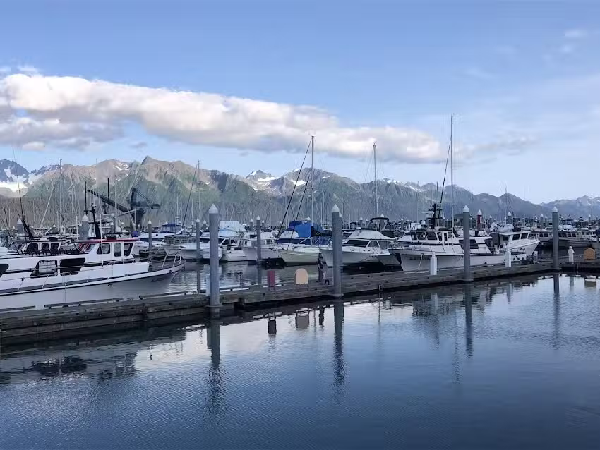 Cruises & Tours Worldwide