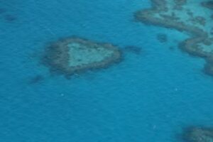 Cruises & Travel Center