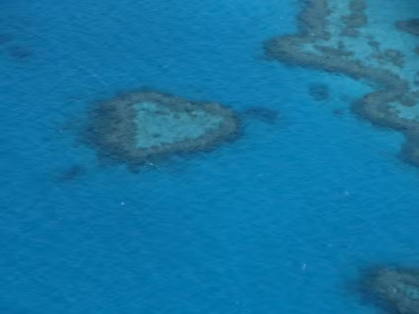 Cruises & Travel Center