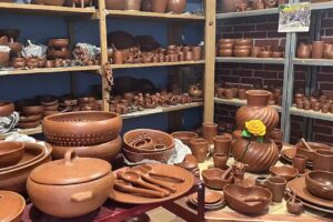 Cultivating The Collective