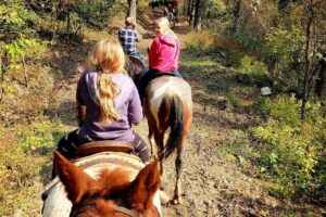 Cumberland Falls Horse Riding Stables
