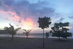 Curated Global Travel