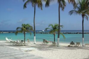 Curtis Cruise and Dream Vacations LLC