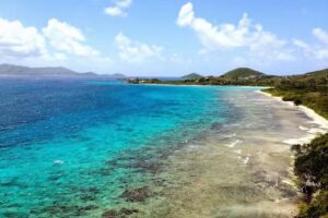 Custom Travel Professionals LLC