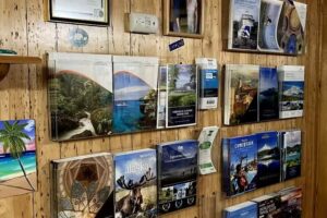 D & D Travel Services LLC