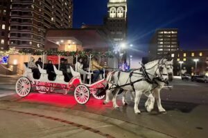 D-L Ranch & Carriage