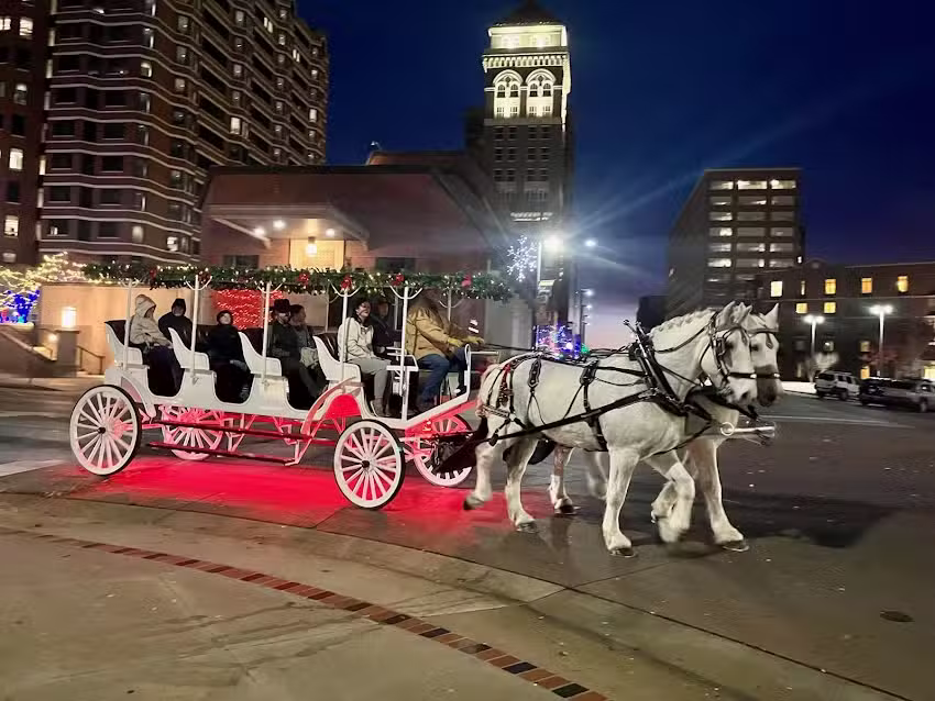 D-L Ranch & Carriage