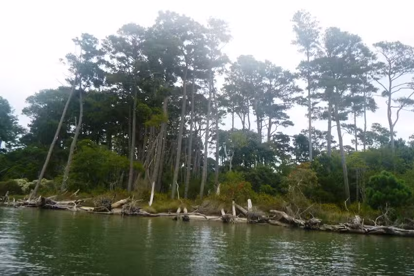 Daisey&rsquo;s Island Cruises &ndash; Boat Departure