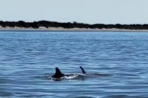 Daisey’s Island Cruises – Booking Office