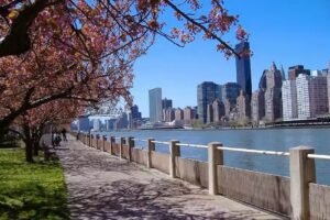 Damate Travel and Leisure