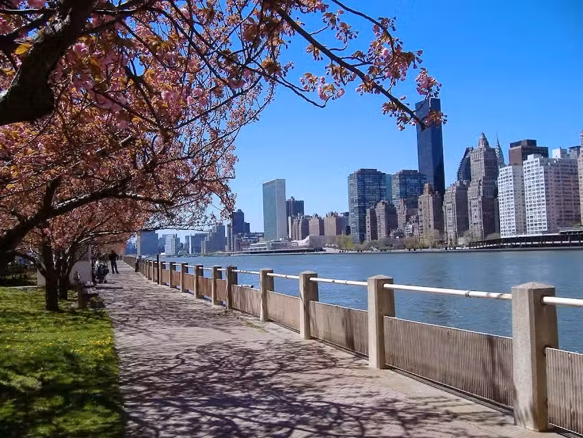 Damate Travel and Leisure