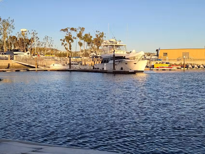 Dana Wharf Sportfishing & Whale Watching Dana Point