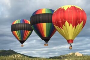 Dave’s World Tours & Shuttles