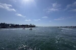 Davey’s Locker Whale Watching & Sportfishing