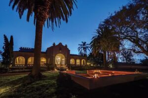 David Denies Bird Hunting