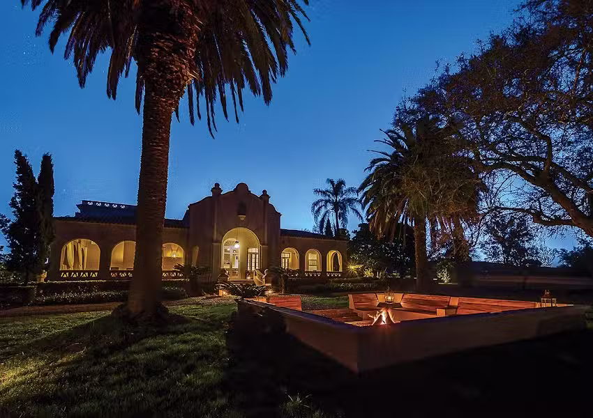 David Denies Bird Hunting