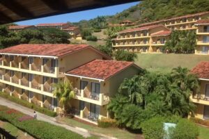 David’s Cruise Vacations