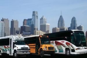 David Tours and Travel