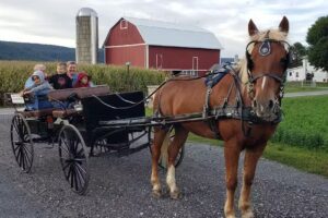 Dayze Gone Bye Carriage Rides