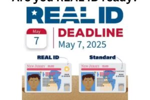 Dazzle Travel Agency