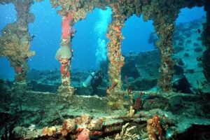 Dean Rabb Expeditions, LLC