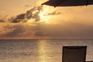 Debi Damon, Travel Advisor