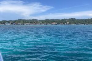 Debra Wright ~ Off to Neverland Travel, An Authorized Disney Vacation Planner