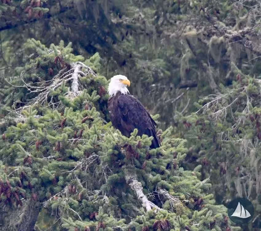 Deer Harbor Charters