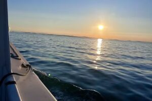 Deer Isle Ocean Tours