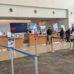 Delta Check-in