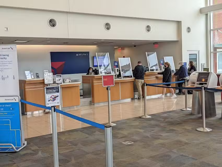 Delta Check-in