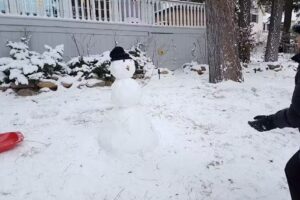 DeLuca&rsquo;s DeLight