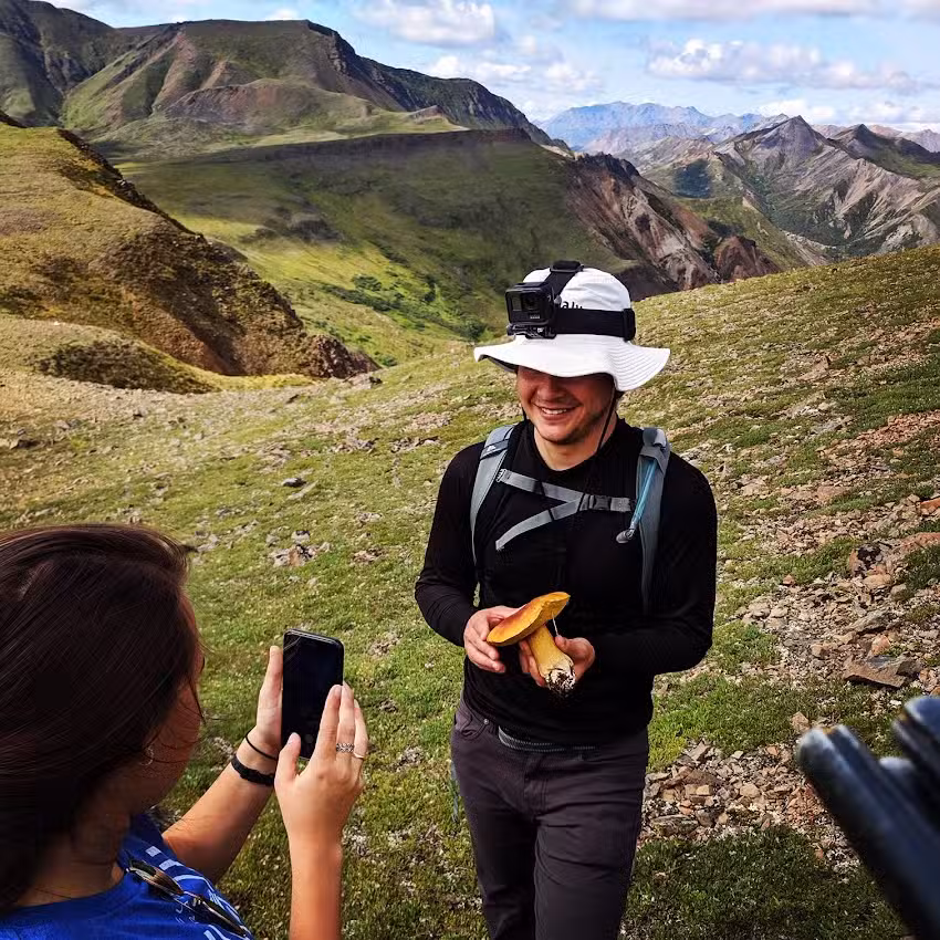 Denali Backcountry Guides