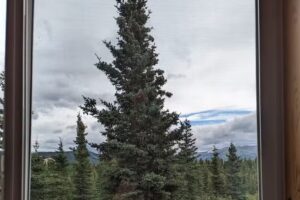 Denali’s Alaskan Spruce Cabins