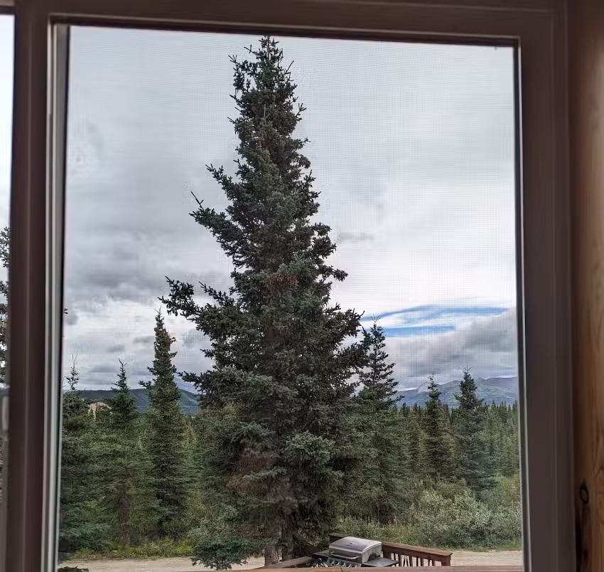 Denali&rsquo;s Alaskan Spruce Cabins